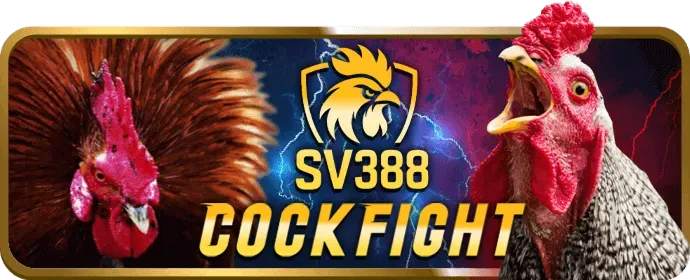 Chính sách cookie dom88 casino